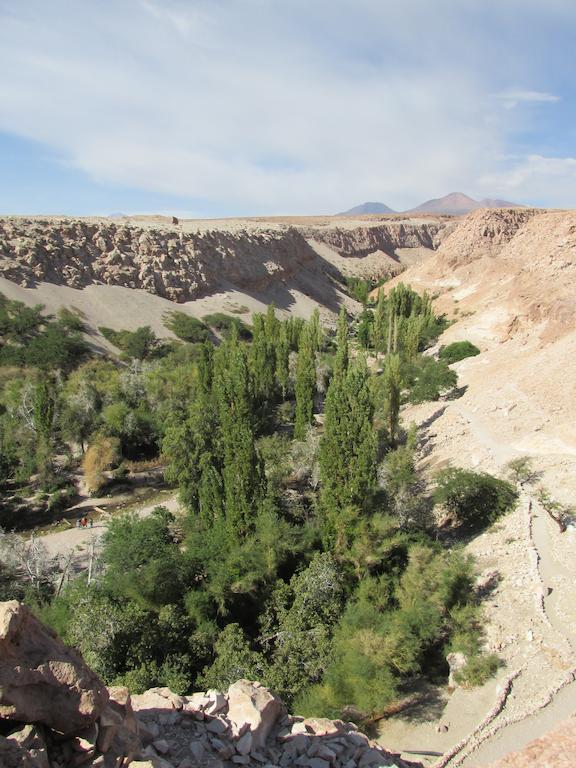 Complejo Turistico El Toconar Βίλα Toconao Εξωτερικό φωτογραφία